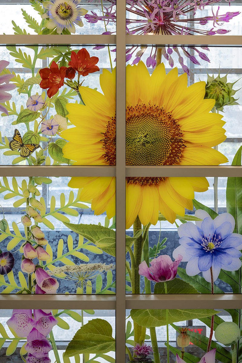 The Magnet School of Multicultural Humanities